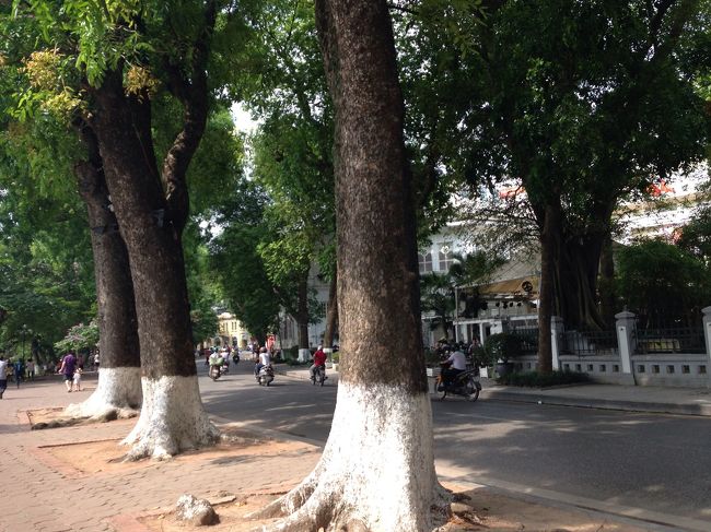 ホエアンキム湖の湖畔にて。<br />木の根元が白く塗られているのは、『虫除け』と『夜間の事故防止』の役割からだとツアーの日のガイドさんから聞きました。<br />へー。