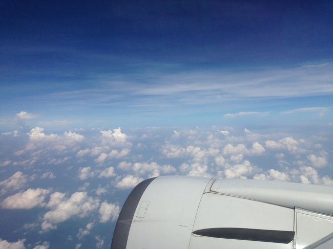 帰りは4時間半くらいのフライトです。