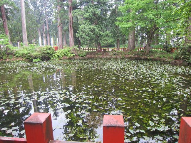 140年ぶりの一般公開 出羽三山開祖・蜂子皇子御尊像』羽黒 140年ぶりの一般公開 出羽三山開祖・蜂子皇子御尊像』羽黒