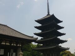 商店街を抜け、お餅の良い香りやお土産屋さんの誘惑を振り切り、猿沢池から興福寺へ。
興福寺五重の塔。
本日（5月16日）は薪能の開催されるという事で舞台のセッティングをされていました。
国宝館では噂の阿修羅像を拝見。
何よりも圧巻だったのは、千手観音像でした（しかし翌日の唐招提寺の千手観音像でもっと衝撃を受けます）