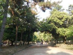 この後春日大社へ参拝。
（写真は春日大社から一之鳥居へ向かう参道です）
二月堂から春日大社へ向かう道は木々が生い茂り、くすのきやヒノキの香りで心が癒されます。
朱塗り神殿と石灯篭や釣灯篭が特徴的な春日大社。
永代灯篭と言って、灯篭だけじゃなく将来の油代まで昔は納めていたのだと近くに居たガイドさんが話していました。
様々な寺社（若宮15社）を巡り、夕方になるし次に行ったらもう降りようねと話ながら夫婦大国社へ。
この旅行期間中が6年に1度の開帳期間となっており、なんてタイミングが良いのでしょうと夫婦大国社へ向かいます。
そして到着。
あら、お片づけ中!?
「4時半までですよ」と一言。
ただいまの時間4時35分…。
参拝可能時間はきちんと調べておきましょうね。
