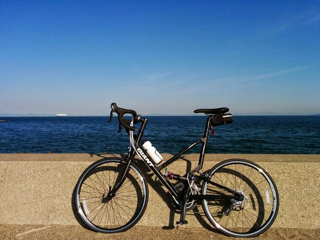 渥美 半島 自転車