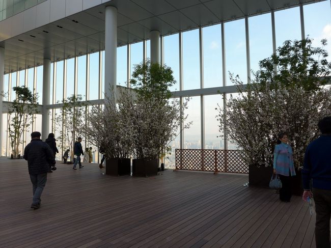 天空庭園からの眺め②