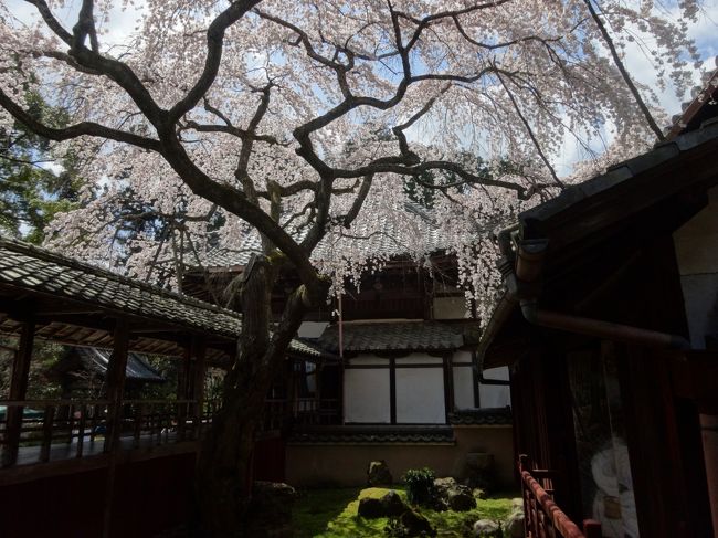 ポスターでみた場所かな？