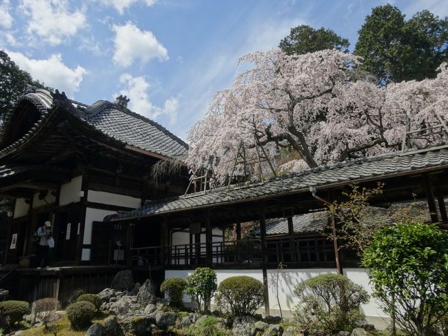 一通り見終わって･･･<br /><br />もったいないけど<br /><br />1時間位でバスに乗って帰りました。<br /><br />