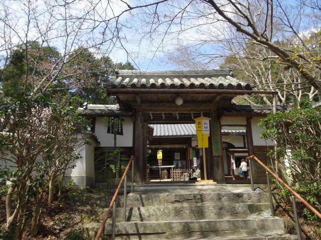 十輪寺に到着。<br /><br />電車とバスを乗り継いでやっと到着。