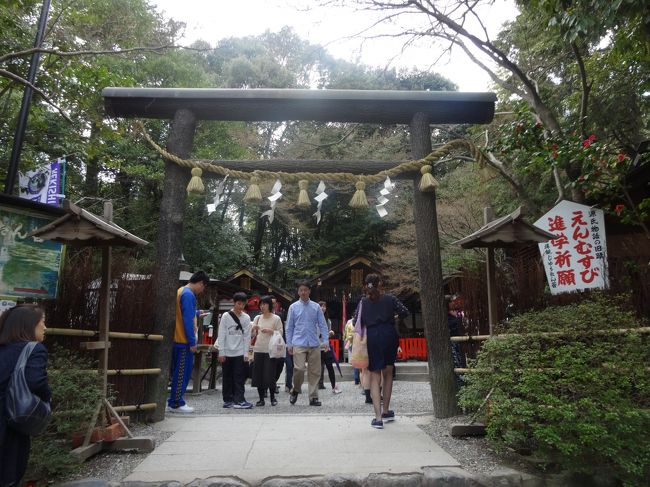 嵐山もざっと見て終わり。<br />