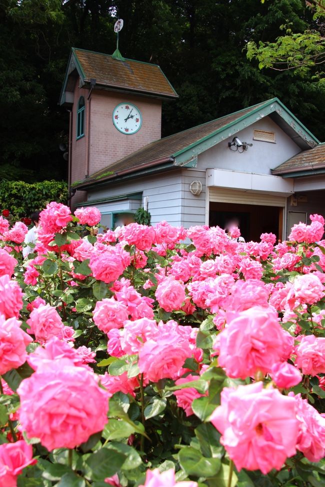 時計のある管理棟がいいシンボルに