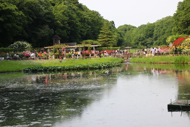 バラ園を振り替える