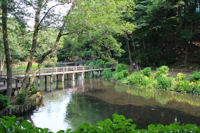 橋があるとアクセントになる