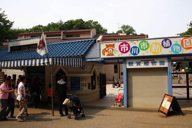 14時20分、市川市動植物園に到着！<br /><br />京成バラ園からは、市川大野駅経由で来る場合とかかる時間はだいたい同じでした。<br />市川大野駅からちょうどよい時間にバスがあれば、その方が便利ですが、大野駅から自然観察園を経由すれば、駅前からの道のりもあまり苦にならないのも確か。<br />