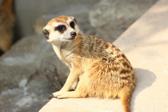 こちらの子もまだ小さめ