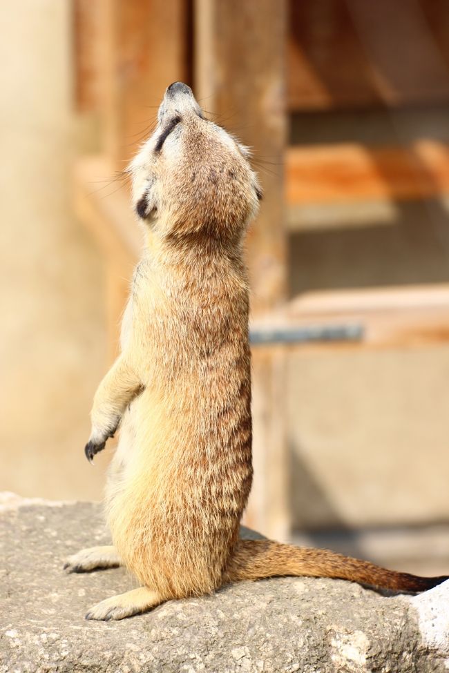 上を見張るのも大事だよね