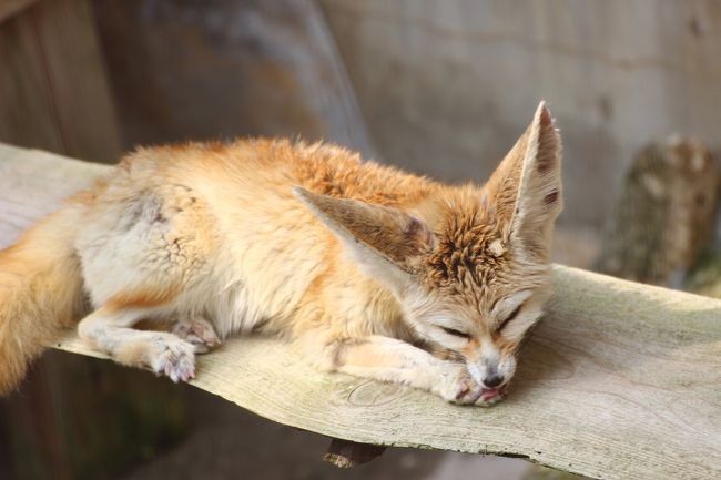 眠くなっちゃった？