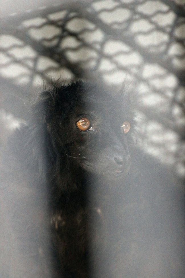 高い所でポーズ