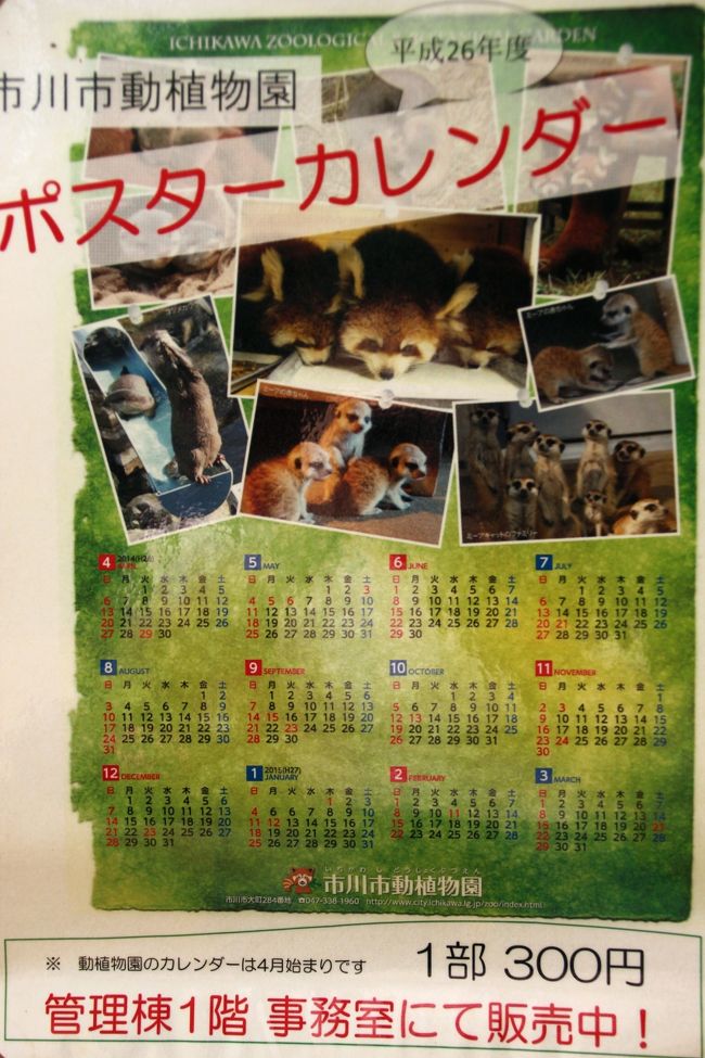買おうかと迷って買いそびれてしまった今年2014年のポスターカレンダー<br /><br />動物園を出るぎりぎりにゲートのところにあったので、買うのを逸した代わりにパチリ@<br />