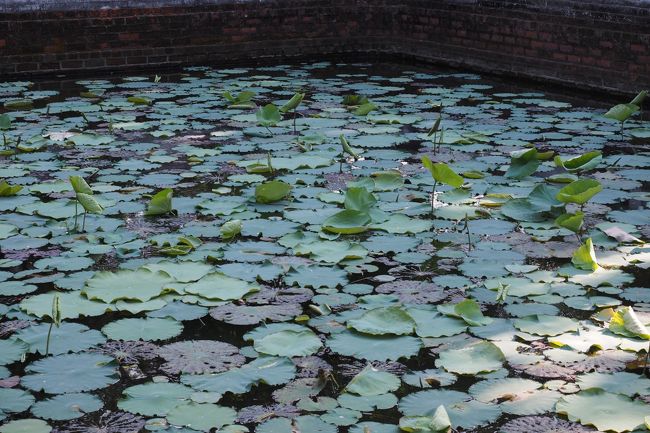 連れ回されて、説明されたが、ちょっとうんざり。こんなお決まりコースより旧市街散策の方がいいよ