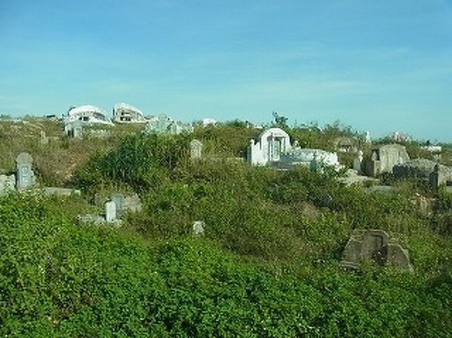 バスから眺める<br />　ベトナム式　墓地<br />　土葬だそう　地域　民族　風土により形も違う。　