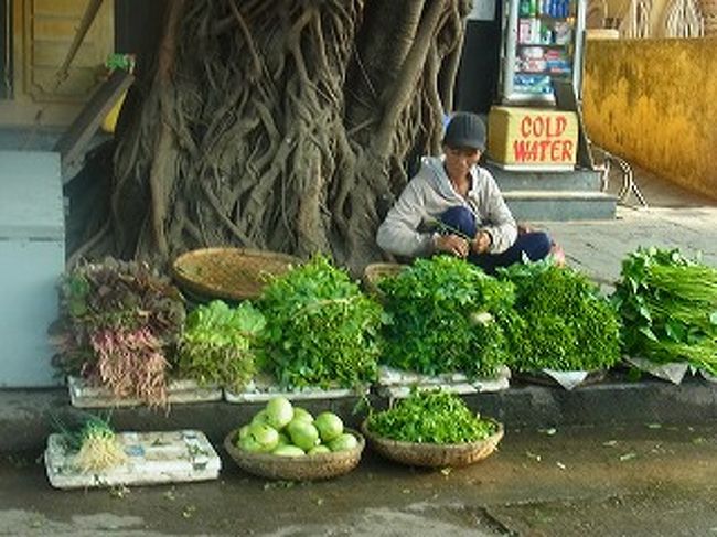 ベトナムは農業国でもあります。<br />豊富な野菜、果物に主婦は目がゆきます。