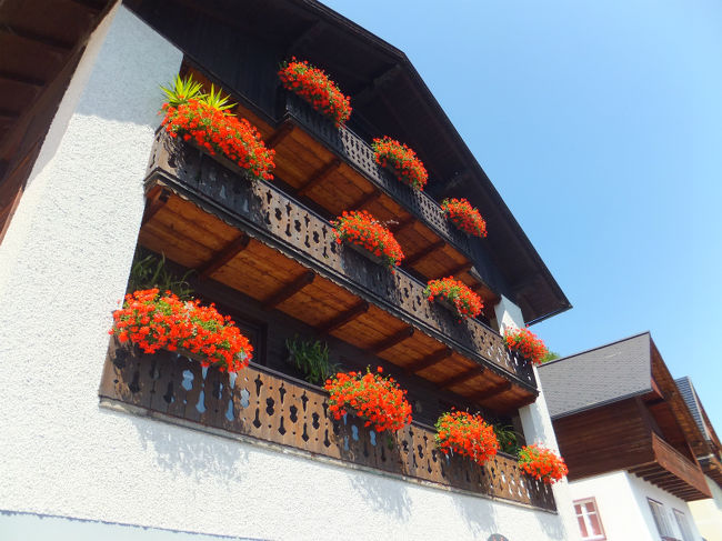 あちこちでお花がキレイに咲いていました。<br />鮮やかな色が空や壁の色と調和して素晴らしい。<br />