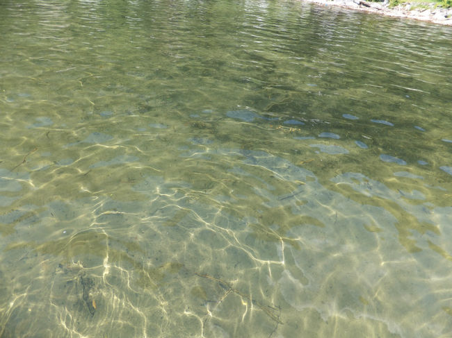 湖の水はとても澄んでいました。