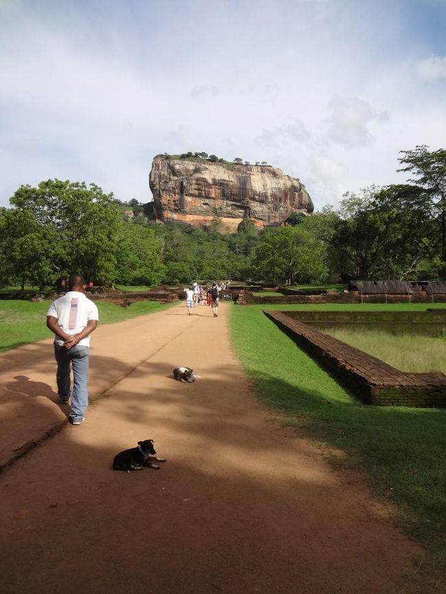 そして、ここを歩いてシギリヤロックへ。<br />前を歩くのは、シギリヤロックのガイドさん。彼は、日本語、仏語、英語を話してました。学校で勉強したとか。