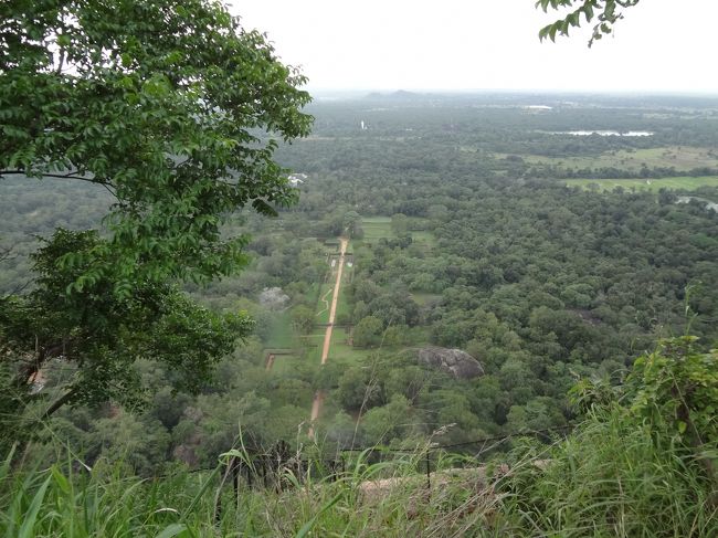 頑張ってシギリヤロックの頂上へ！<br />歩いてきた一本道が見えます。