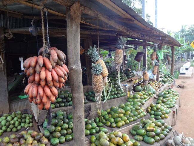 帰り道。ちょっと高価なバナナ（左端）を購入。他より甘いらしい。２本８０ルピー。