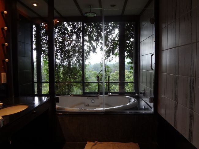 ホテルは、ちょっと高級なヘリタンス・カンダラマ。一度泊ってみたかったバワ建築のホテル。ジャグジーのガラス前を朝から、猿数匹がランニング！（（笑）自然の中の雰囲気がステキでした。・・・が、背の低い日本人仕様ではありません（涙）全体的に大きく高い位置にすべてあったような…。背の高い友人はちょうどよかったのかな。