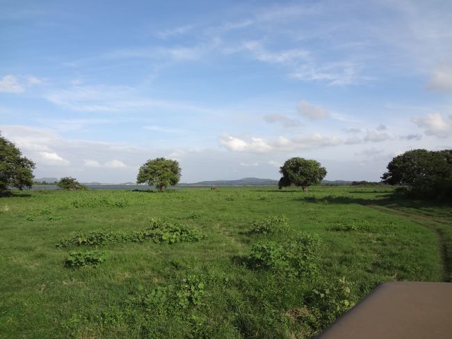 午後は、ミンネリアでサファリ。象が川で水を飲んでいるらしい。