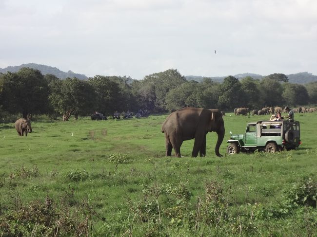 近づきすぎ！！危険です。