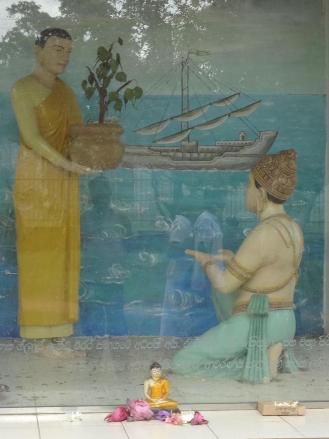 スリーマハ菩提樹<br />インドから、釈迦が悟りをひらいた場所にあった菩提樹を持ってきて植えた場所。本当に多くの人々がやってくる。