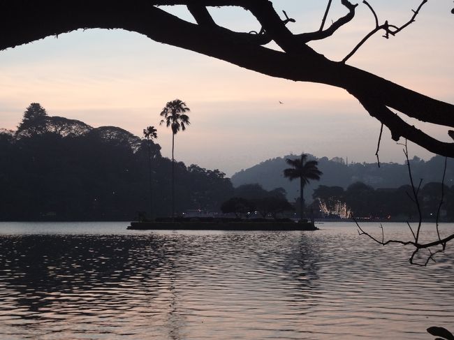 仏歯寺の隣の湖を見つつ帰ります。