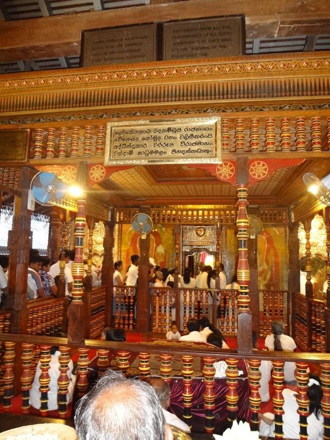 地元も人もみんな見たい！？ということで押し合いへしあい仏歯の前へ。おじいちゃんの頭のずーっと前に人が詰めかけているところに仏歯を入れた入れ物がちらっと見えた。<br />手前のオリのようなところにいるのは、今年生まれた赤ちゃんと家族。