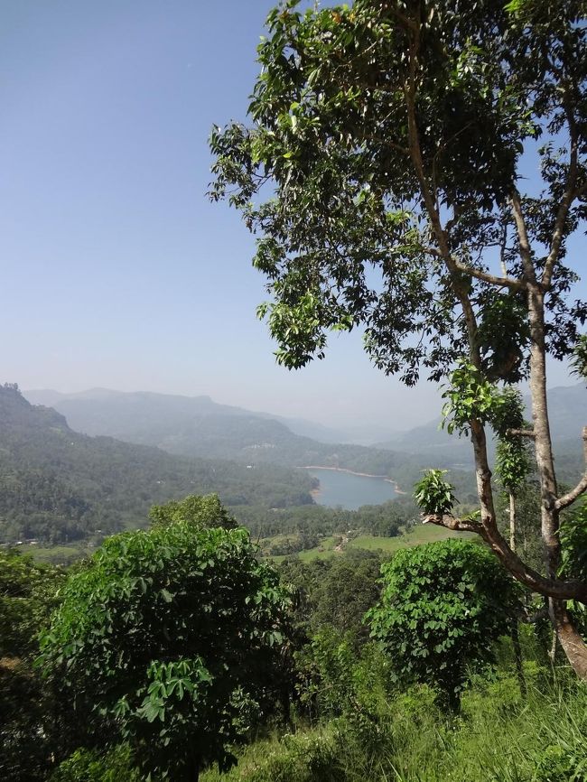 だんだんヌワラエリアに近くなってきました。このあたりにはちょくちょく、カフェらしきものがあります。その中の１つ。<br />アイスクリームを注文して待っている間。（アイスクリームが硬すぎてなかなか出てこなかったもよう。どんぶりにいっぱいありました。バニラチョコで３５０ルピー。２人で完食！）