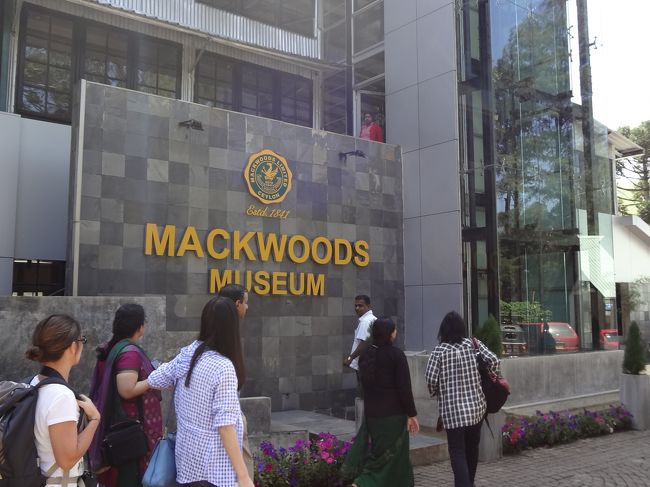 お茶の製造工場へ。中国人観光客が多い。