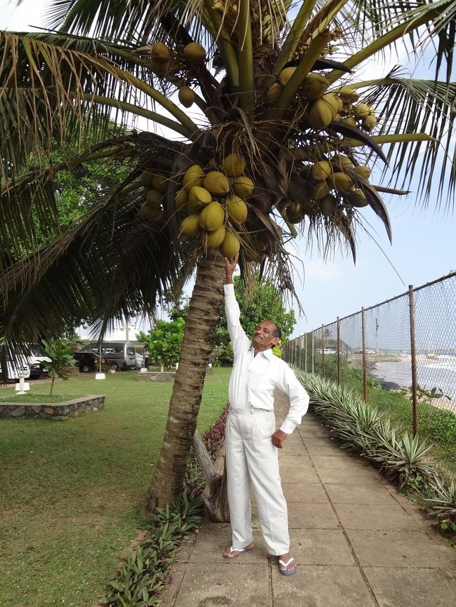 オランダ時代の建物内でランチをしていたら、ヤシの木自慢の明るい家族（これはおとうさん）と遭遇。<br /><br />でも、津波の時は、このあたりの建物はみんな被害を受けたそうです。<br />今はきれいになってますが。