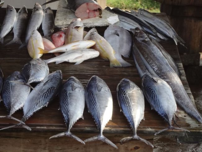 海辺に魚屋さんも。