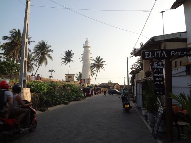 ゴールの堤防沿い