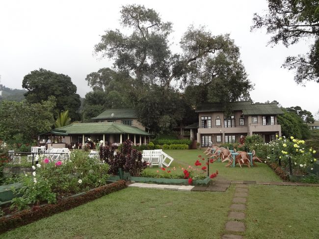 ココから、山の風景の見納め。