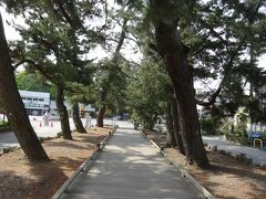 翌朝ホテルの部屋からは富士山が見えたので霞んでしまう前に三保の松原へと出かけました。