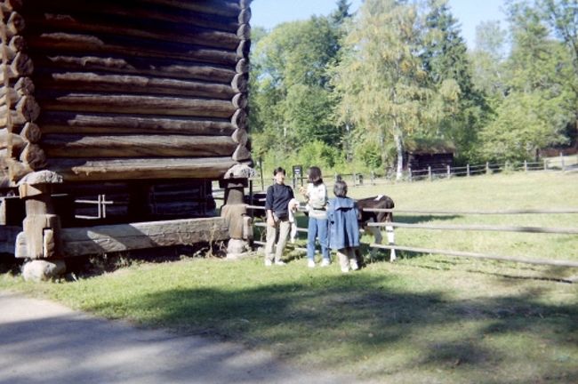 農園を再現しています。