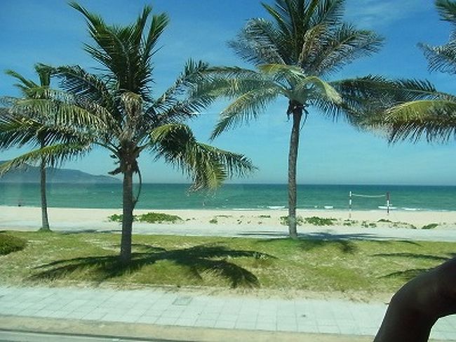 ヤシの並木が二季の南国の風景を作ります。<br />