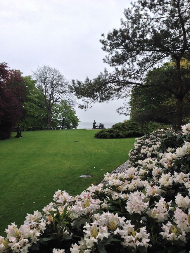 ツツジのような花がまさに見頃。<br />美術館という枠を超えている。