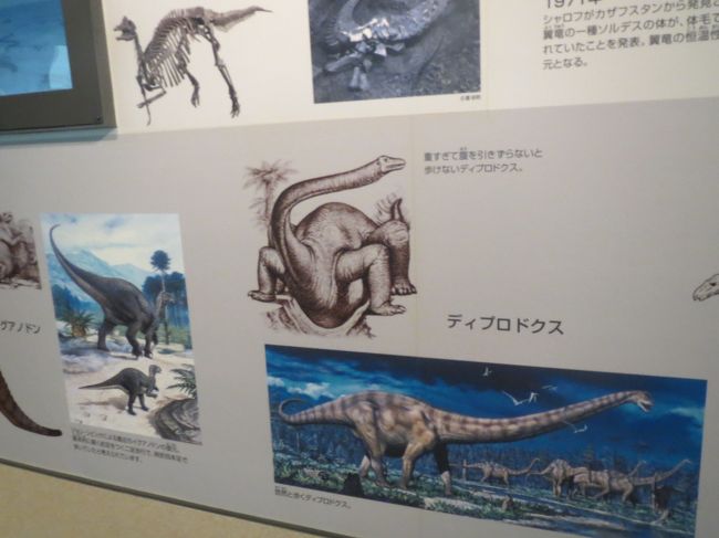 子連れで2度目の福井 というより恐竜博物館 旅行 14 5 勝山 福井県 の旅行記 ブログ By きーぽーさん フォートラベル 子連れで2度目の福井 というより恐竜博物館 旅行 14 5 勝山 福井県 の旅行記 ブログ By きーぽーさん フォートラベル
