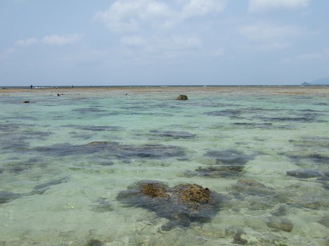 食後は米原海岸でシュノーケリング。<br />キャンプ場の駐車場を使用。<br />シャワールームやトイレも完備。<br /><br />午後になっても意外と寒い。泳ぐのは無理でした。。