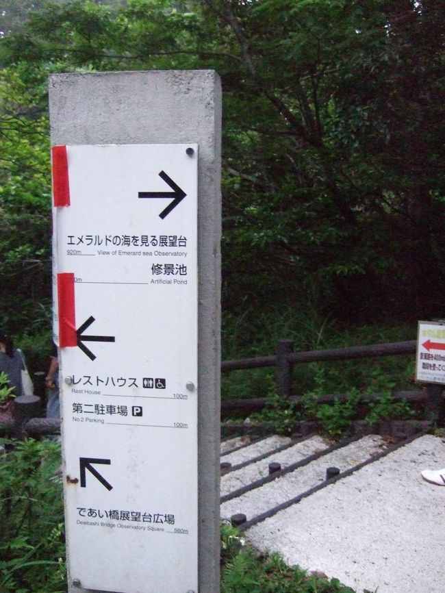 休憩後、暗くなる前に出発し、ホタル観賞に「バンナ森林公園」へ。<br />ホテルから２０分くらい。<br /><br />しかし、入口がたくさんあって迷う。いろんな人に聞きながら<br />公園の西口から入って自然観察広場第二駐車場に到着。<br />タクシー、バス、レンタカーで満車！路駐の車も多く、すごい状態。<br />すぐここだとわかります＾＾；<br /><br />この看板で左に曲がり、川沿いの道を歩いていきます。