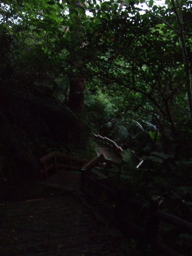 ホタルは思った以上に乱舞していて感動ものでした！<br />ガイドさんの説明も聞こえてきて参考に。<br />ホタルは２種類。<br /><br />帰りはホタルの場所から離れたところから携帯電灯でかざしながら<br />駐車場に帰りました。車が一気に出発するので大渋滞〜。