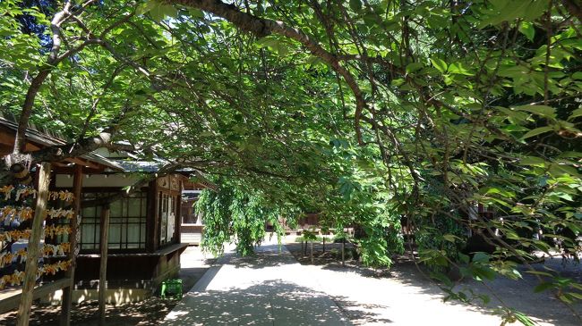 館林のおてんば 香林坊アトリオ＆イオンタウン金沢示野 金沢でんき相談会初開催