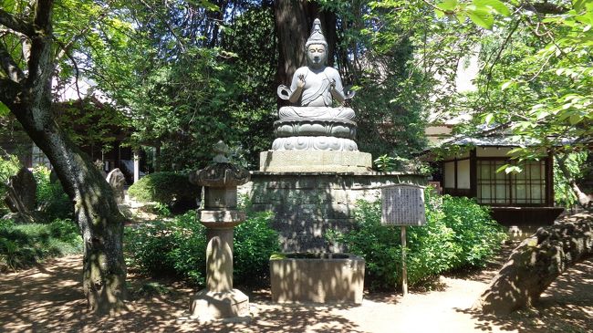 群馬県館林市・緑とタヌキとカキツバタ』館林(群馬県)の旅行記